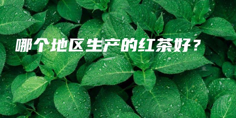 哪个地区生产的红茶好？插图