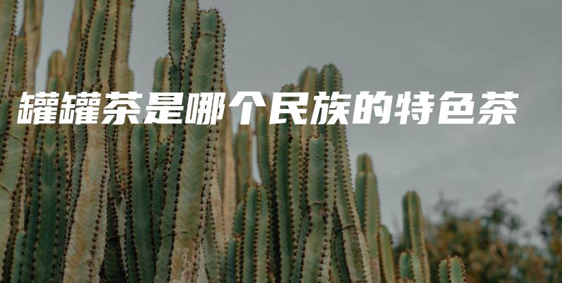 罐罐茶是哪个民族的特色茶插图