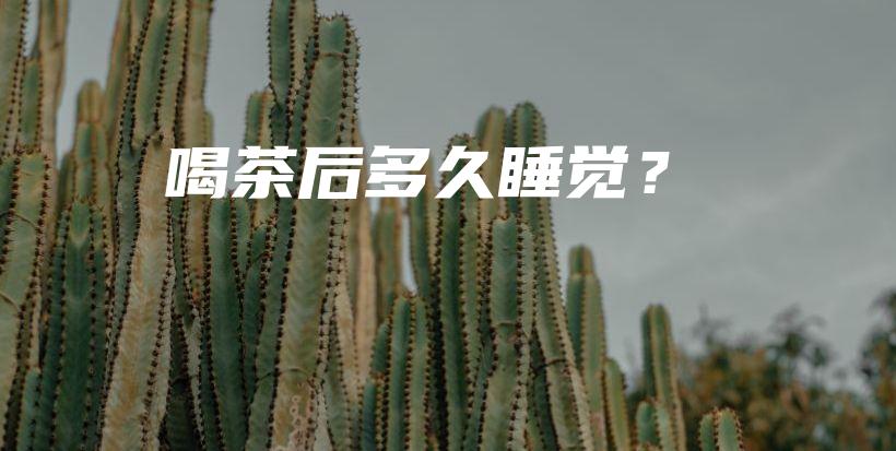 喝茶后多久睡觉？插图