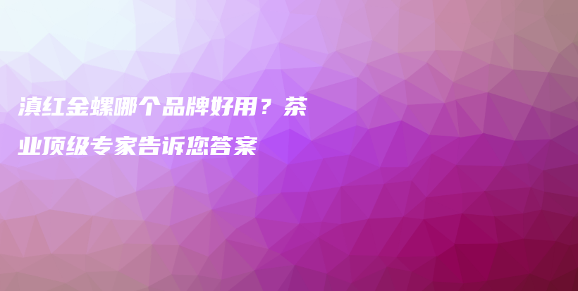 滇红金螺哪个品牌好用？茶业顶级专家告诉您答案插图