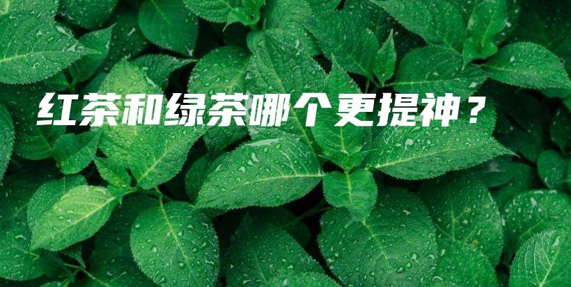 红茶和绿茶哪个更提神？插图