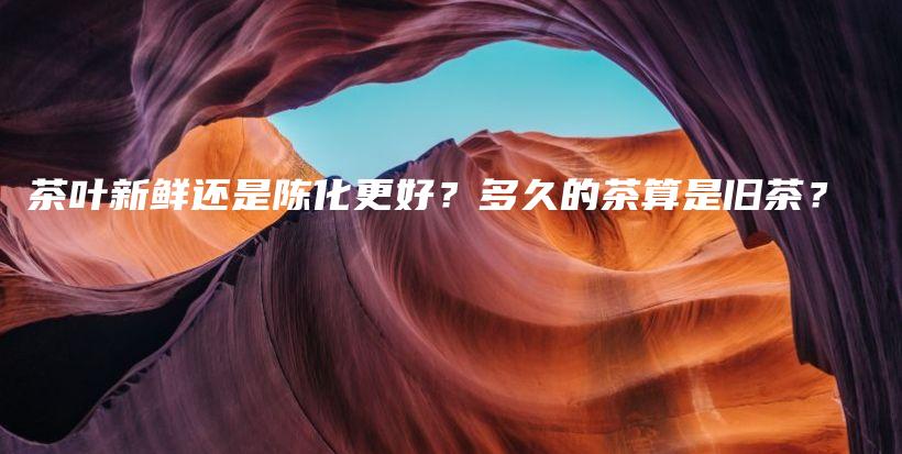 茶叶新鲜还是陈化更好？多久的茶算是旧茶？插图