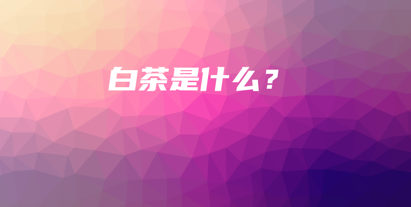 白茶是什么？插图