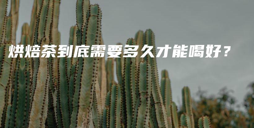 烘焙茶到底需要多久才能喝好？插图