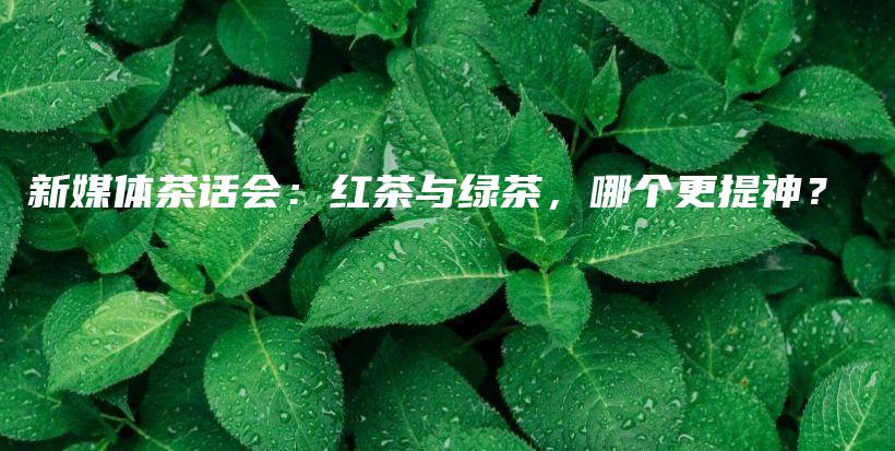 新媒体茶话会：红茶与绿茶，哪个更提神？插图