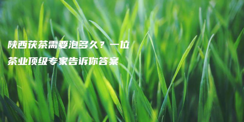 陕西茯茶需要泡多久？一位茶业顶级专家告诉你答案插图