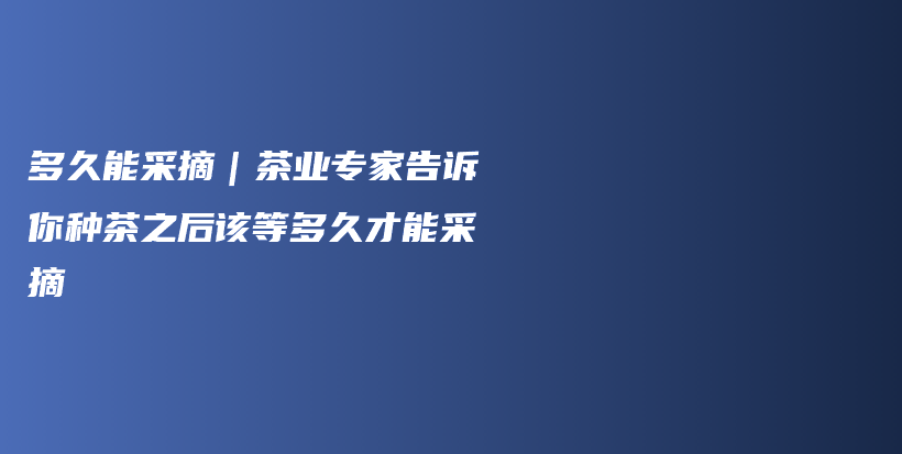 多久能采摘｜茶业专家告诉你种茶之后该等多久才能采摘插图