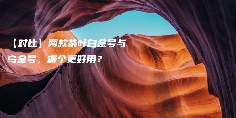 【对比】两款茶叶白金号与乌金号，哪个更好用？插图