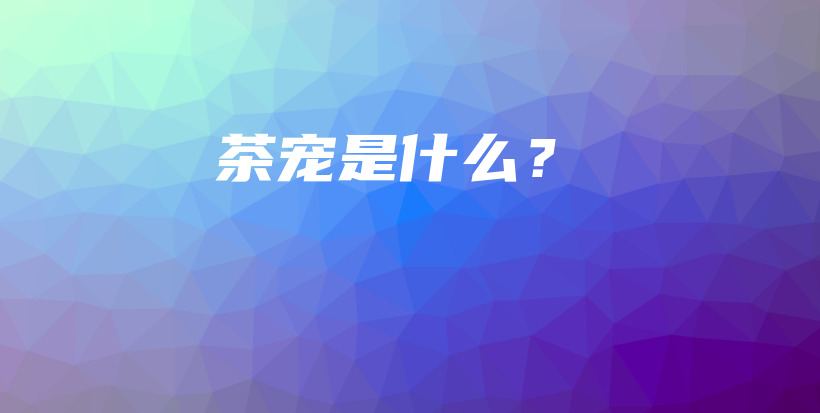 茶宠是什么？插图