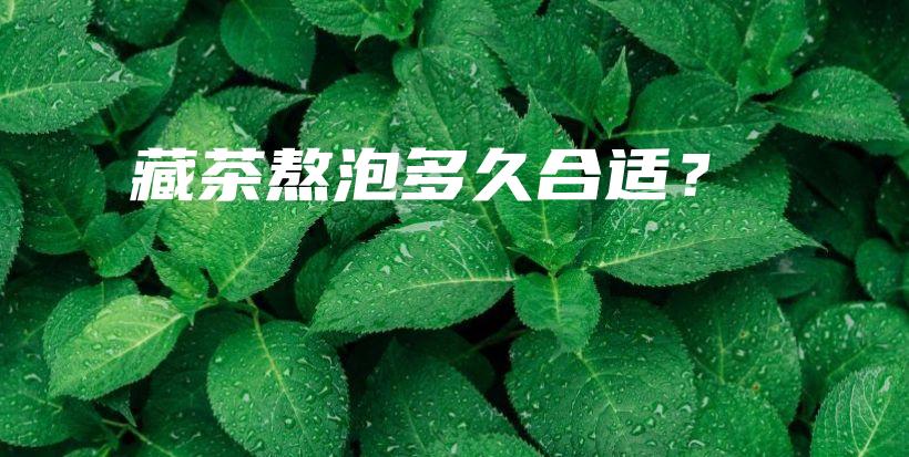 藏茶熬泡多久合适？插图