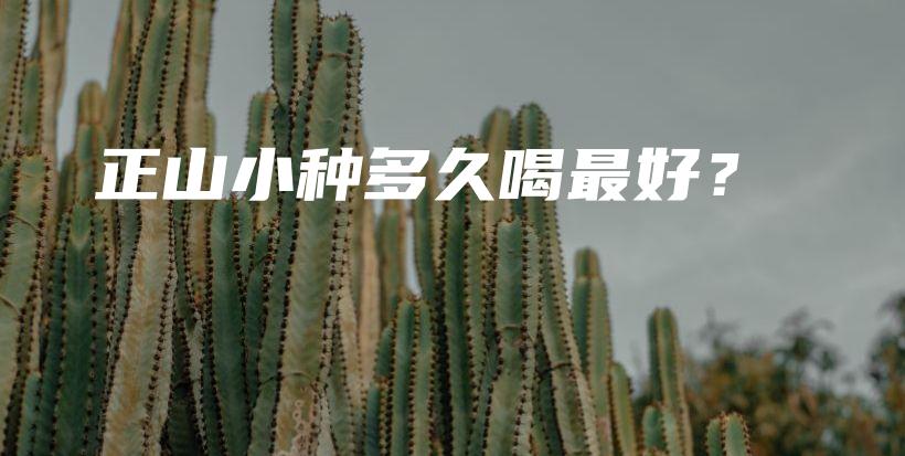 正山小种多久喝最好？插图