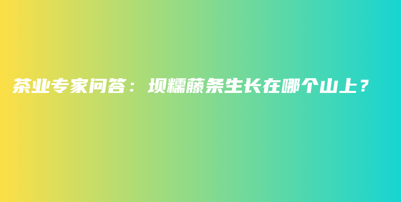 茶业专家问答：坝糯藤条生长在哪个山上？插图