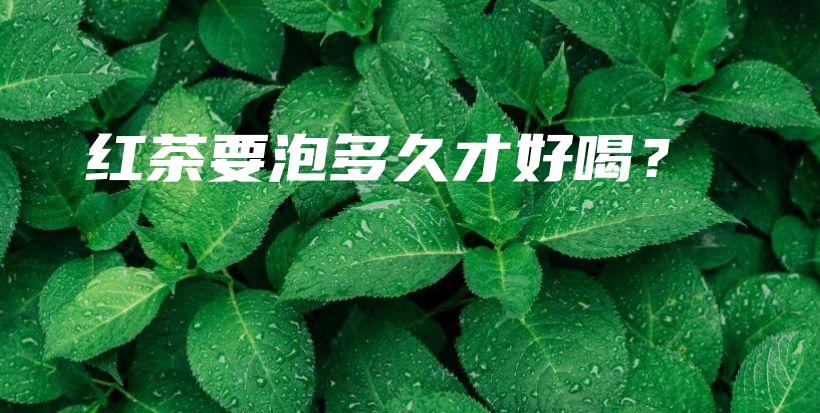 红茶要泡多久才好喝？插图