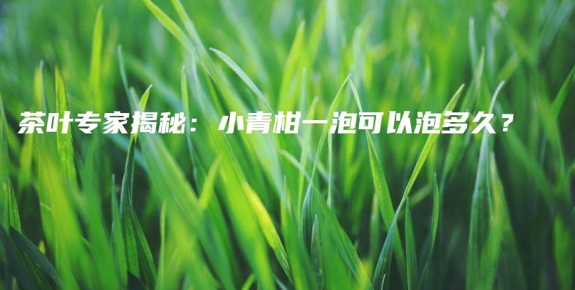 茶叶专家揭秘：小青柑一泡可以泡多久？插图