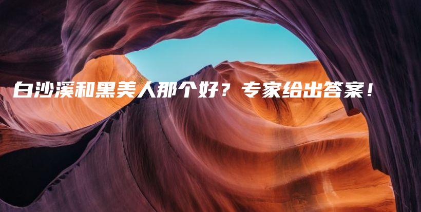 白沙溪和黑美人那个好？专家给出答案！插图