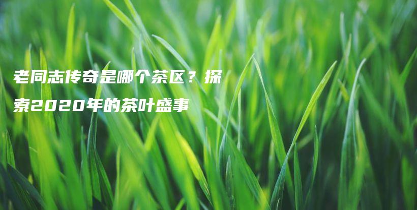 老同志传奇是哪个茶区？探索2020年的茶叶盛事插图