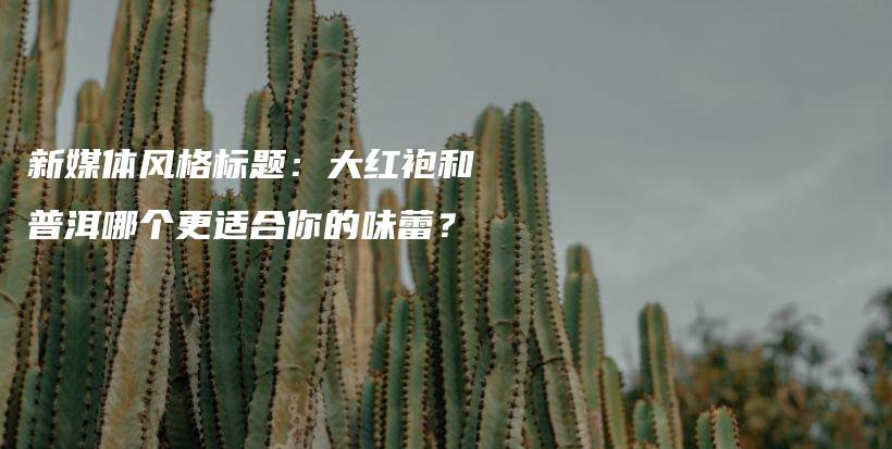 新媒体风格标题：大红袍和普洱哪个更适合你的味蕾？插图