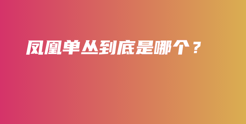 凤凰单丛到底是哪个？插图