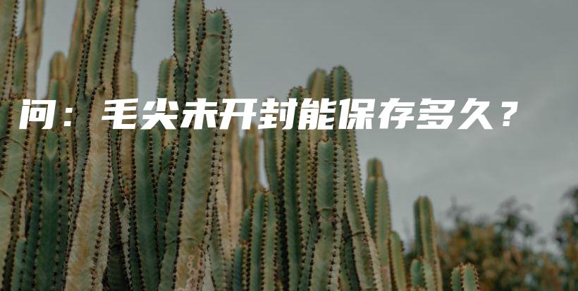 问：毛尖未开封能保存多久？插图