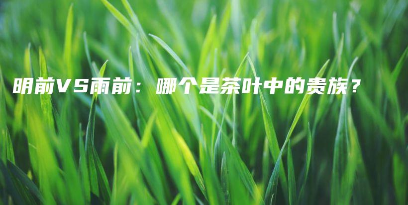 明前VS雨前：哪个是茶叶中的贵族？插图