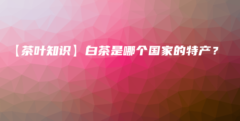 【茶叶知识】白茶是哪个国家的特产？插图