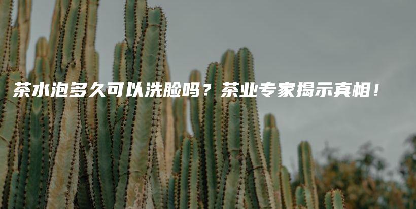 茶水泡多久可以洗脸吗？茶业专家揭示真相！插图