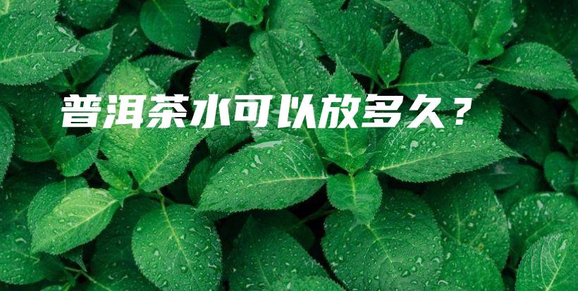 普洱茶水可以放多久？插图