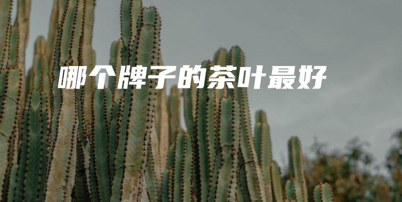 哪个牌子的茶叶最好插图