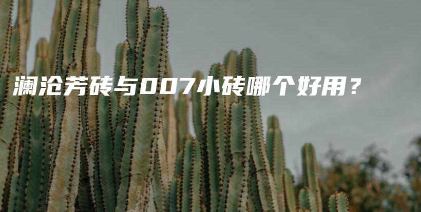 澜沧芳砖与007小砖哪个好用？插图