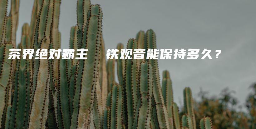 茶界绝对霸主  铁观音能保持多久？插图