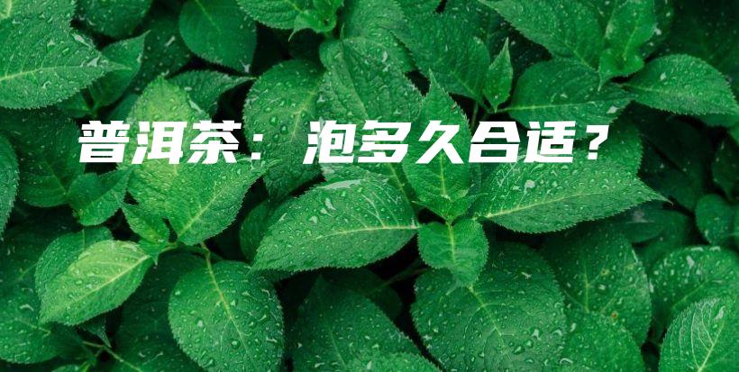 普洱茶：泡多久合适？插图