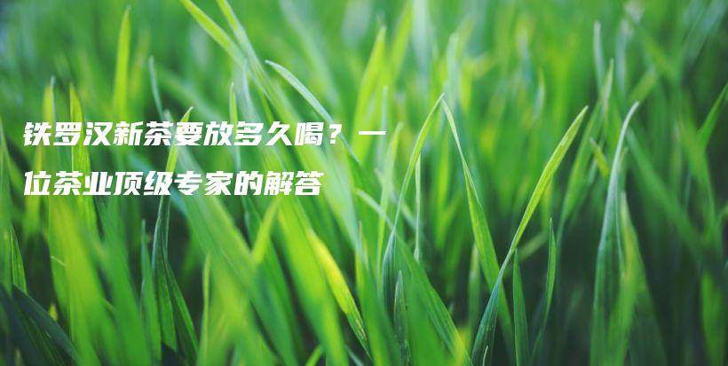 铁罗汉新茶要放多久喝？一位茶业顶级专家的解答插图