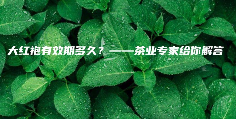 大红袍有效期多久？——茶业专家给你解答插图