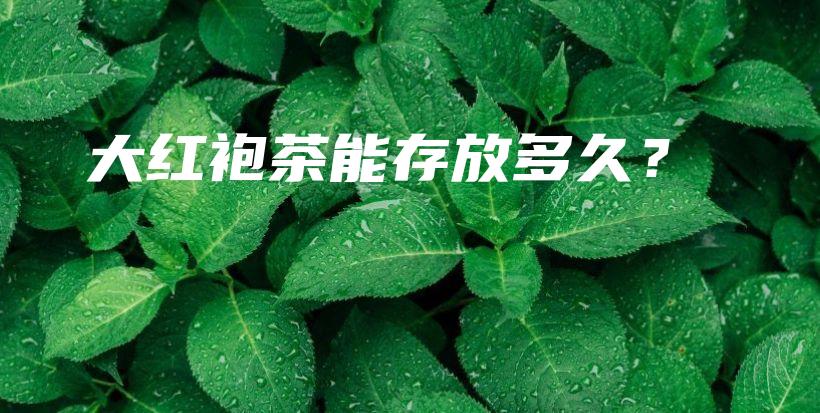 大红袍茶能存放多久？插图