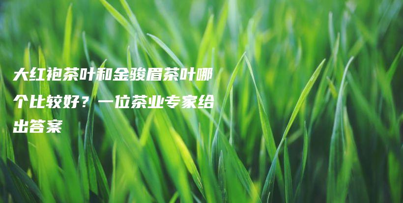 大红袍茶叶和金骏眉茶叶哪个比较好？一位茶业专家给出答案插图