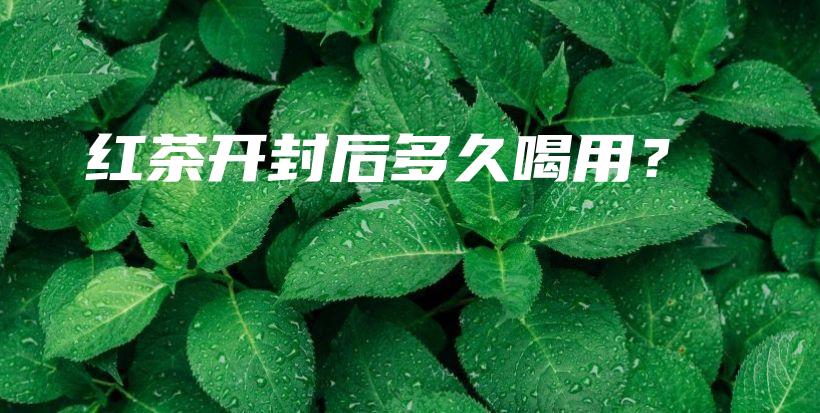 红茶开封后多久喝用？插图