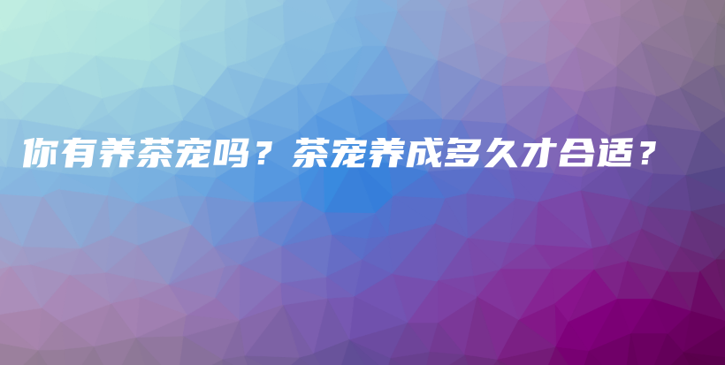 你有养茶宠吗？茶宠养成多久才合适？插图