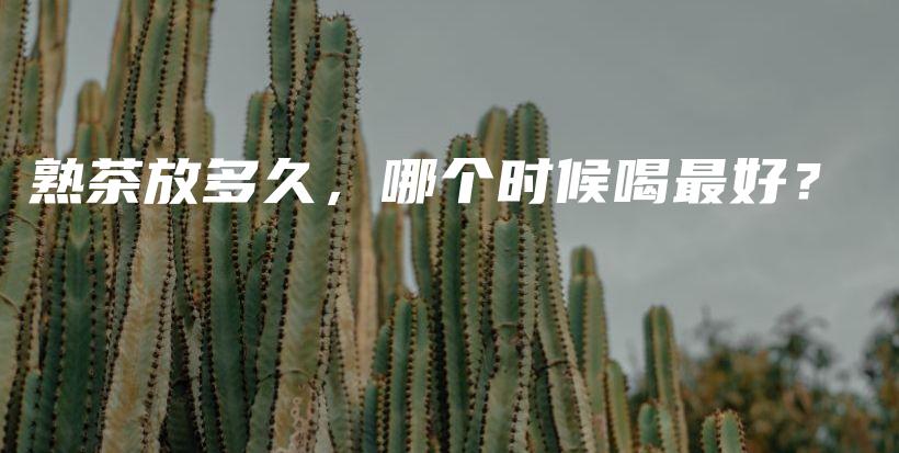 熟茶放多久，哪个时候喝最好？插图