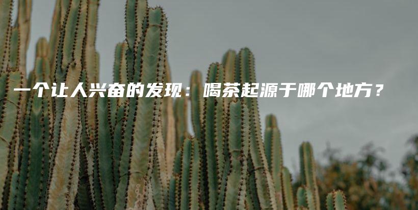 一个让人兴奋的发现：喝茶起源于哪个地方？插图