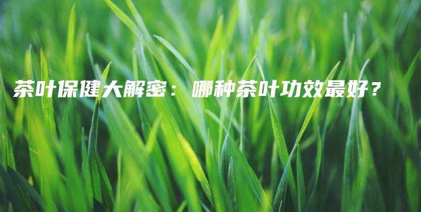 茶叶保健大解密：哪种茶叶功效最好？插图