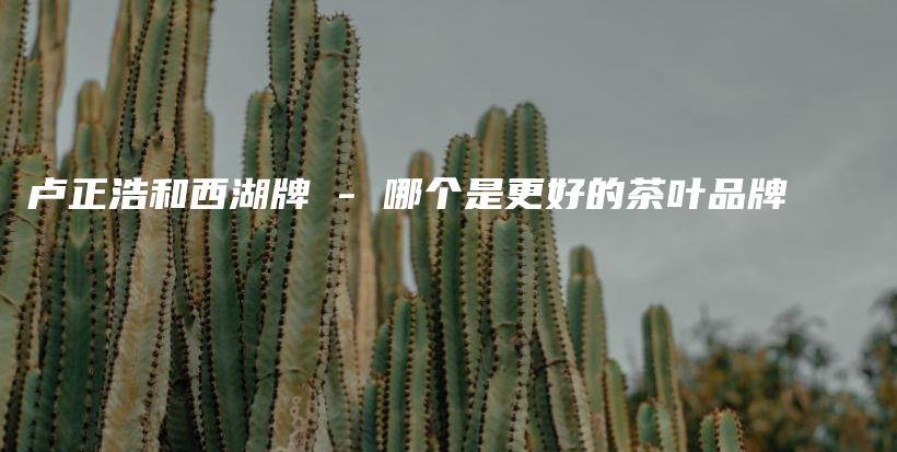 卢正浩和西湖牌 – 哪个是更好的茶叶品牌插图