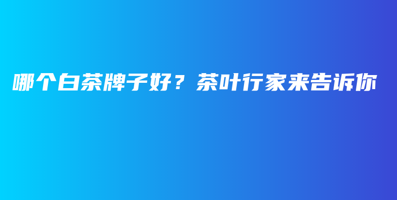 哪个白茶牌子好？茶叶行家来告诉你插图