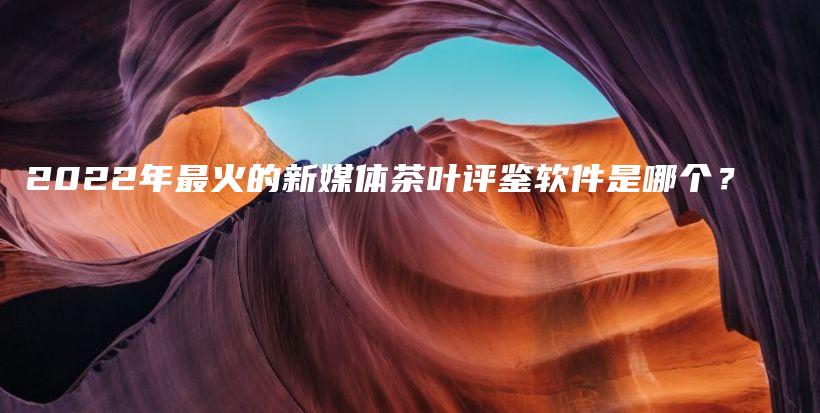 2022年最火的新媒体茶叶评鉴软件是哪个？插图