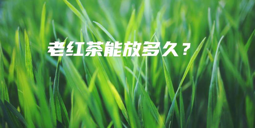 老红茶能放多久？插图