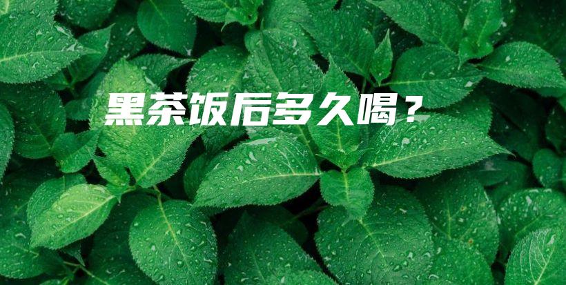 黑茶饭后多久喝？插图