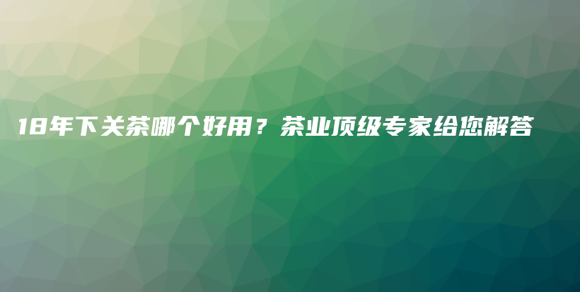 18年下关茶哪个好用？茶业顶级专家给您解答插图