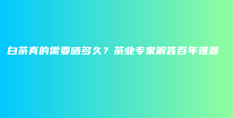 白茶真的需要晒多久？茶业专家解答百年难题插图