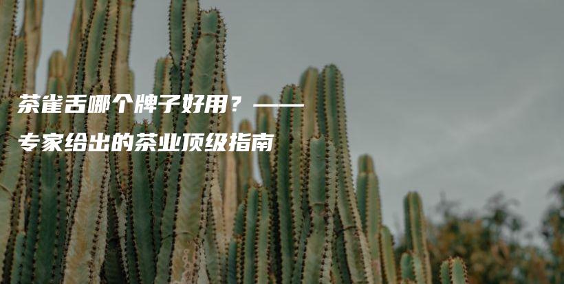 茶雀舌哪个牌子好用？——专家给出的茶业顶级指南插图