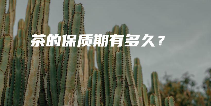 茶的保质期有多久？插图