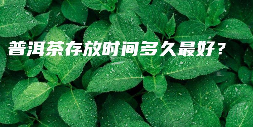 普洱茶存放时间多久最好？插图